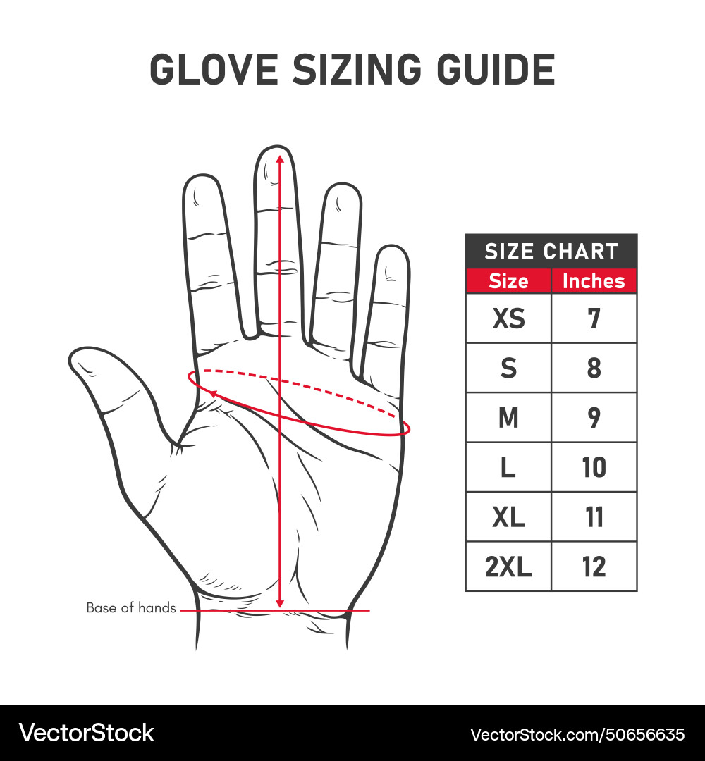 Hand drawn of glove sizing guide and charts vector image