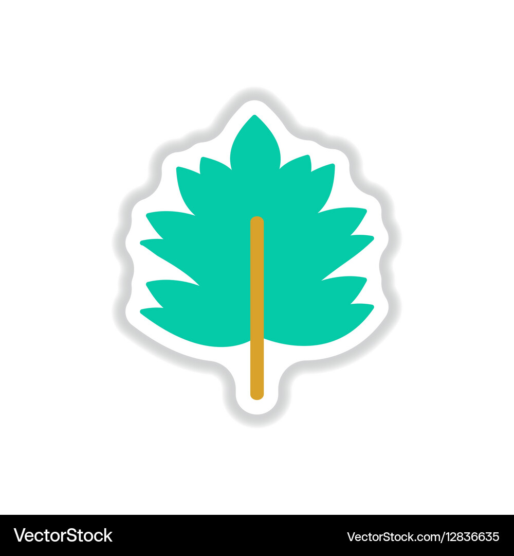 Label with leaf shadow icon design Vector Image