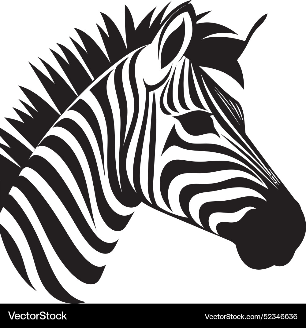 Ink splendor zebra drawingdynamic patterns Ink splendor zebra drawingdynamic patterns vector image