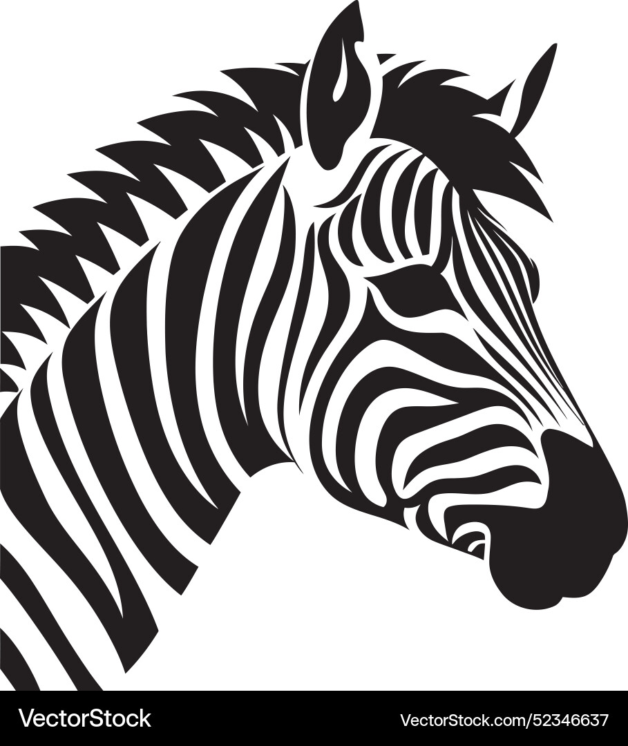 Dynamic patterns zebra artistrycontour capture Dynamic patterns zebra artistrycontour capture vector image