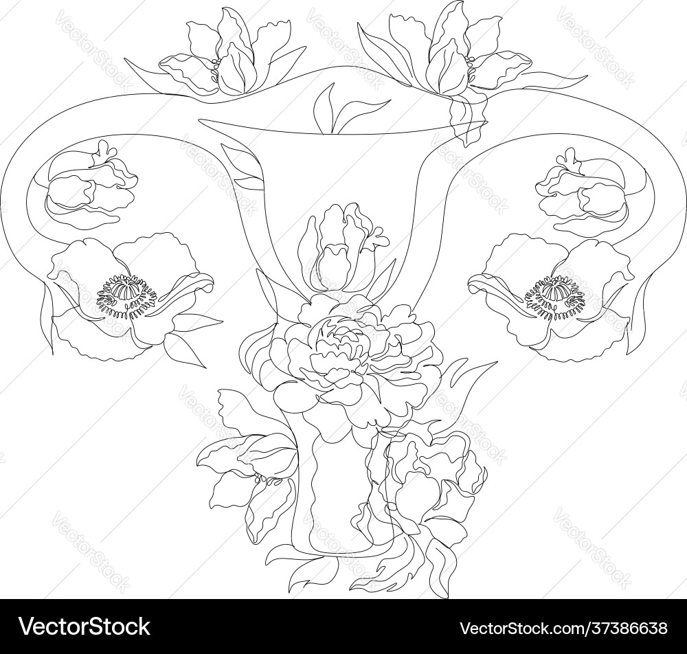 Womens reproductive system with floral flowers vector image