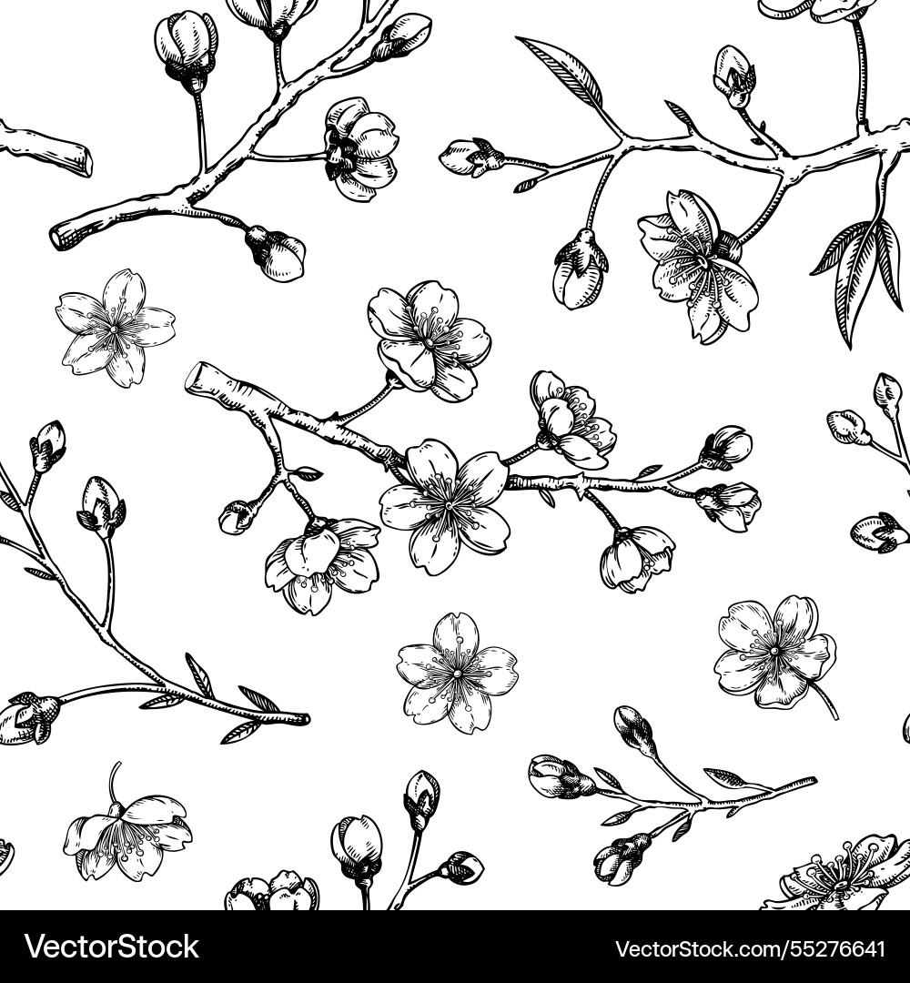 Sakura pattern cherry blossom tree background Sakura pattern cherry blossom tree background Vector Image