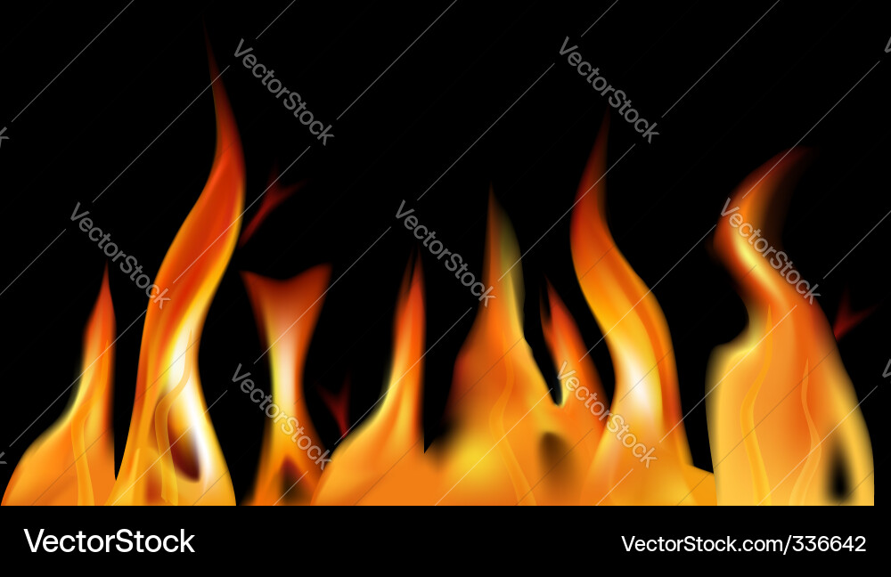 Fire flames Royalty Free Vector Image - VectorStock