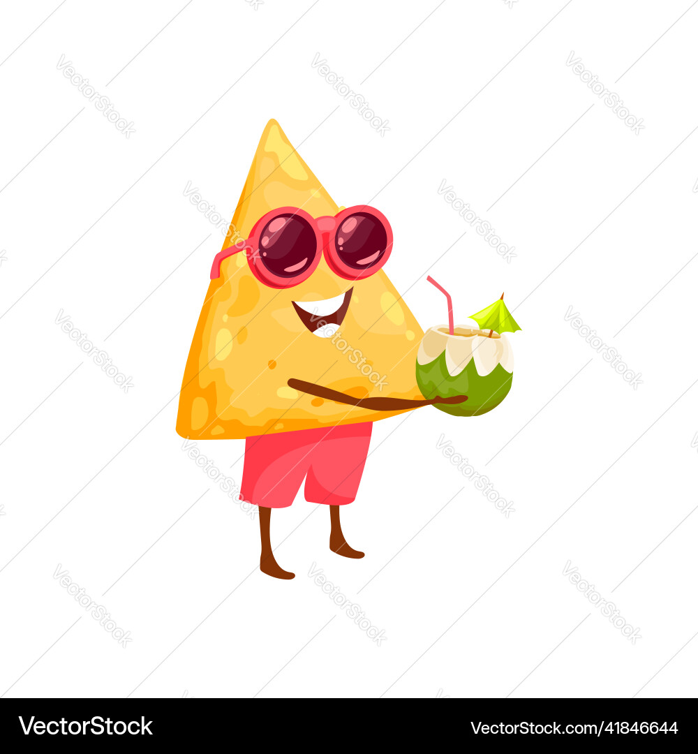 Nachos in sunglasses with coconut cocktail isolate Nachos in sunglasses with coconut cocktail isolate vector image