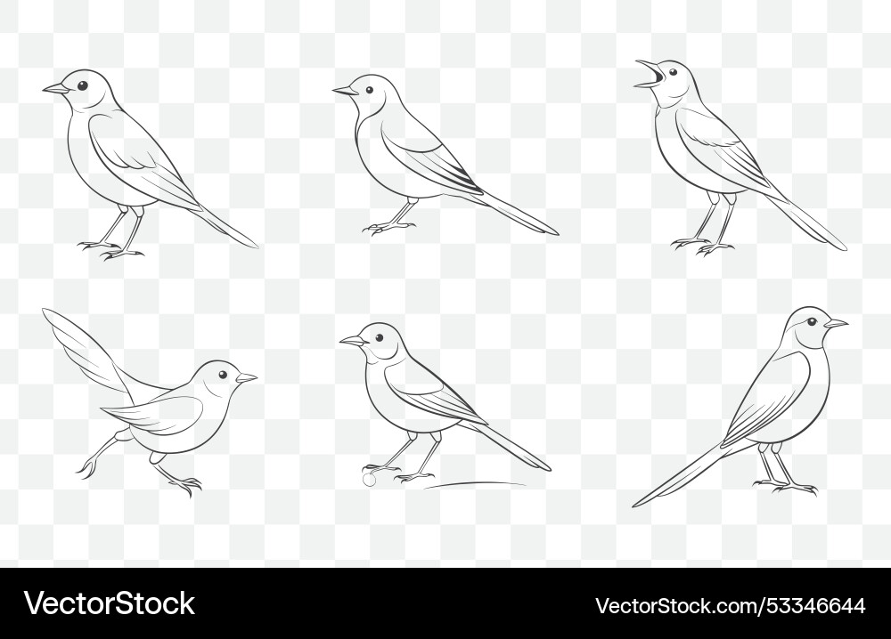 Print wagtail line art set collection Vector Image