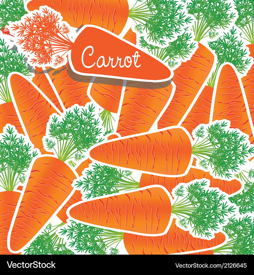 Background of many carrots piled on each other Vector Image