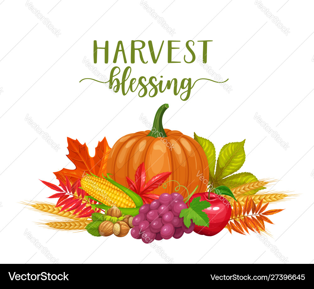 Seasonal fall banner Seasonal fall banner vector image