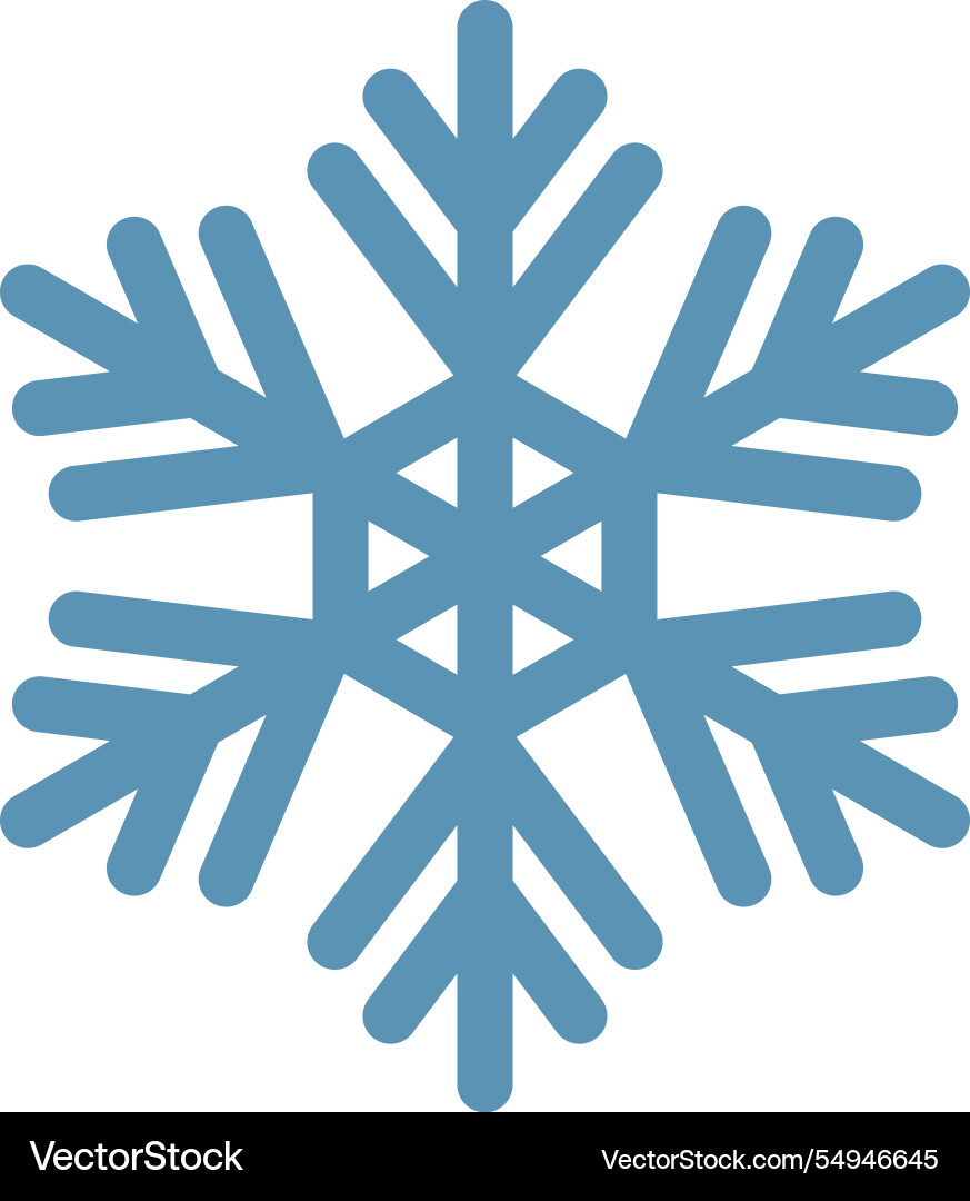 Stylized six pointed snowflake capturing Vector Image