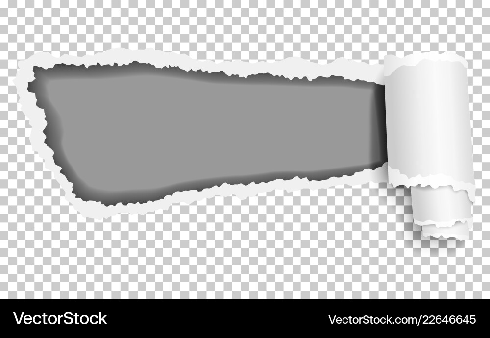 Torn Paper with Curl vector image