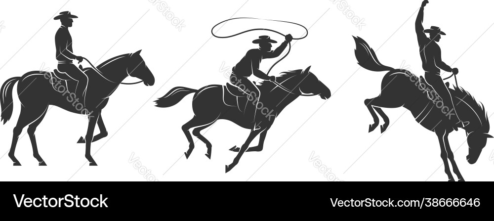 Cowboy rides a horse and throws lasso vector image