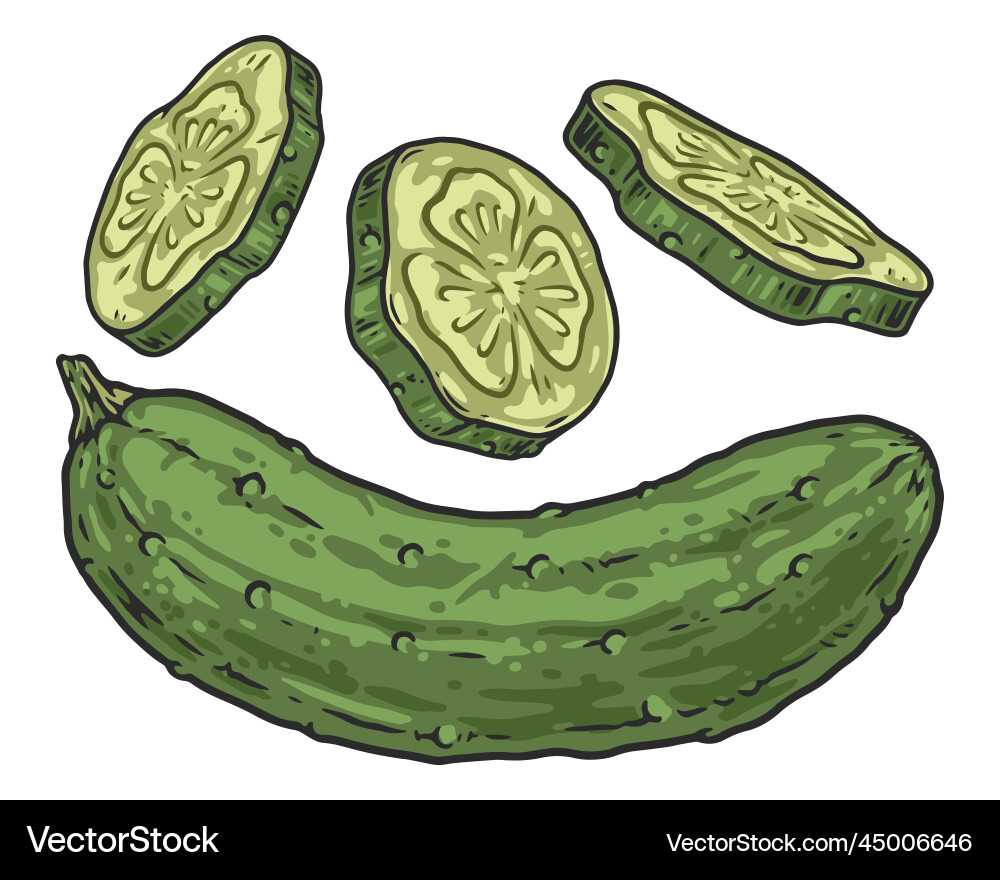 Cucumber Logotypes & Circle Set vector image