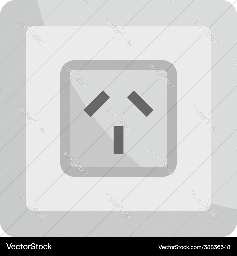 Type i power socket icon flat isolated Vector Image