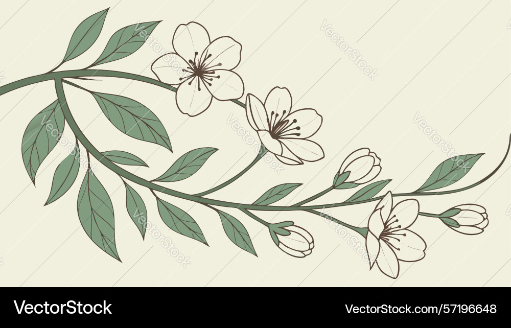 Vine branch with leaves rustic botanical element vector image