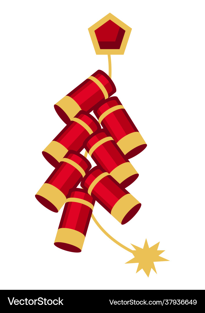 Bundle salutes and fireworks Bundle salutes and fireworks vector image