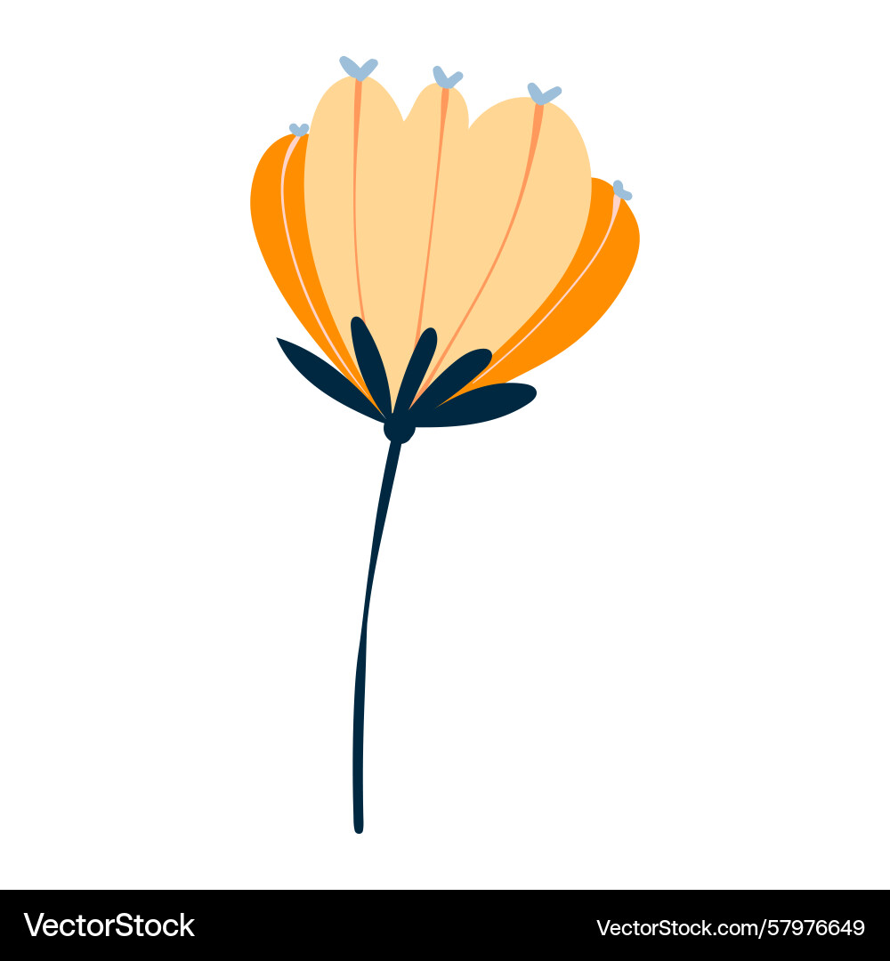 Minimal botanical flower with soft cream Minimal botanical flower with soft cream Vector Image