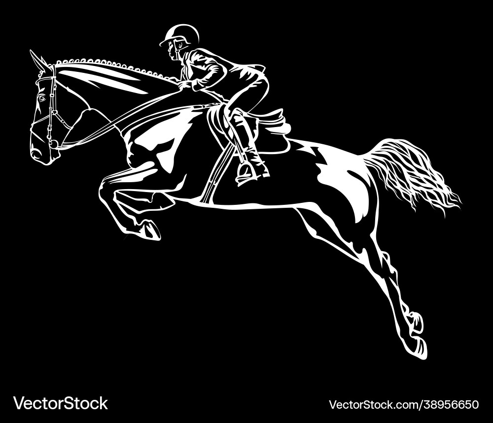 A rider on horse overcomes an obstacle drawing A rider on horse overcomes an obstacle drawing vector image