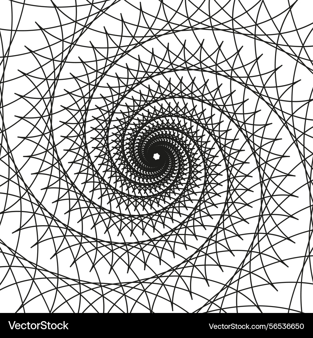 Spiral web grid black linear pattern abstract Spiral web grid black linear pattern abstract vector image