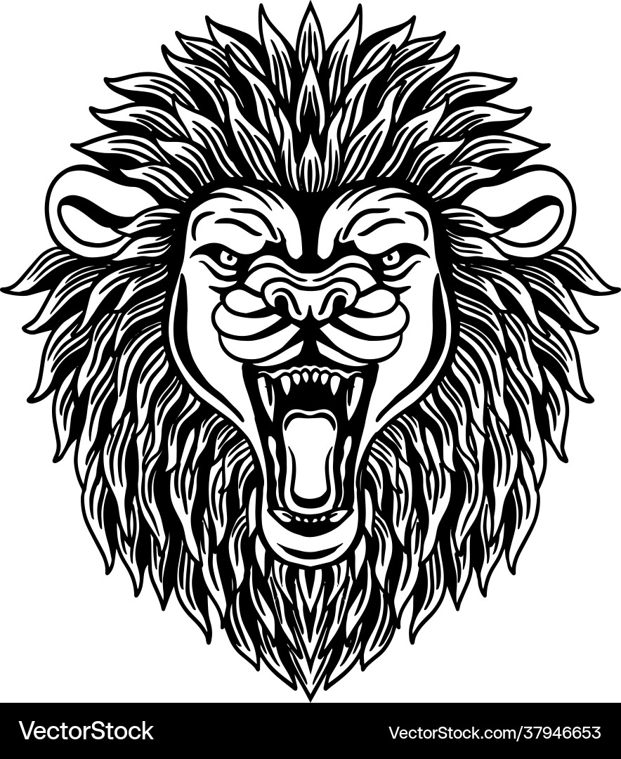 Black and white lion head roaring Black and white lion head roaring Vector Image