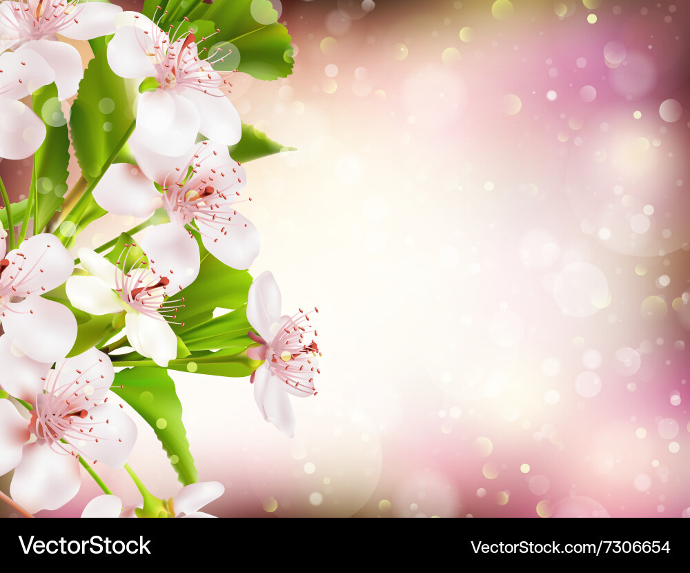 Spring border background eps 10 vector image
