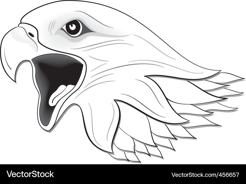 Eagle Head Portrait vector image