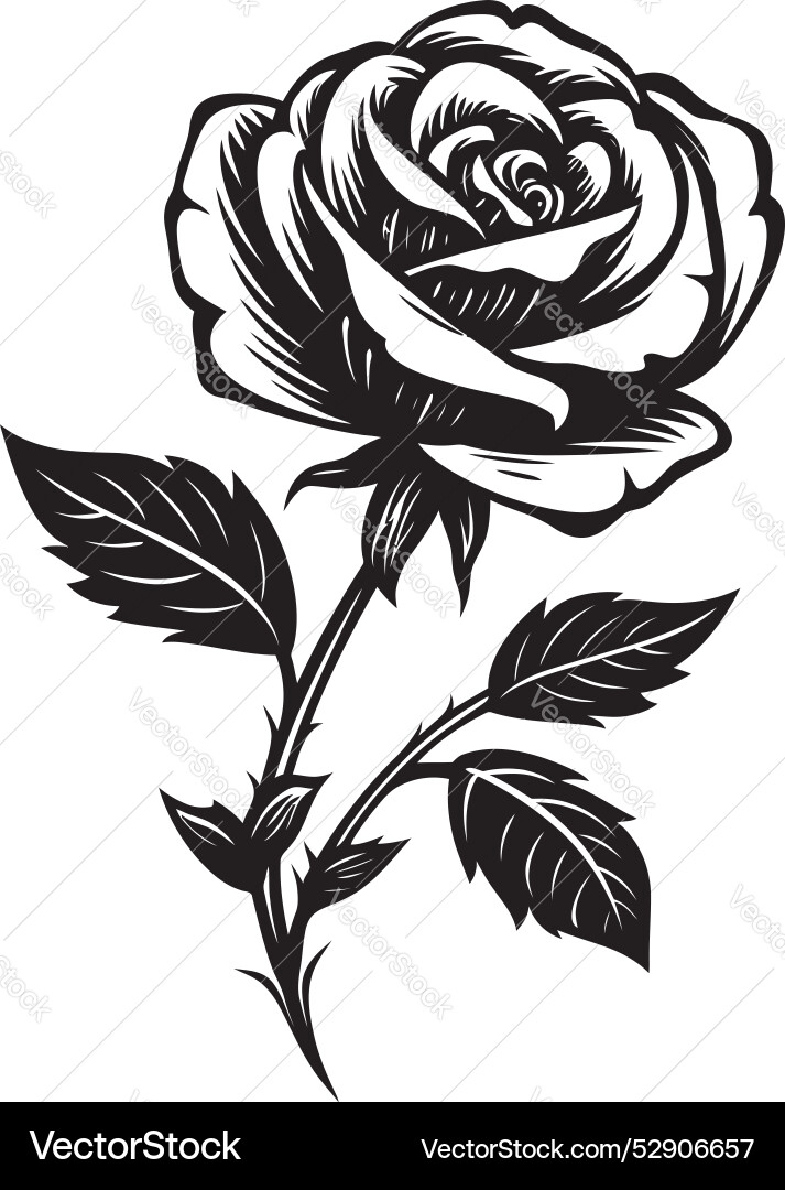 Timeless rose excellence black logo art Timeless rose excellence black logo art vector image