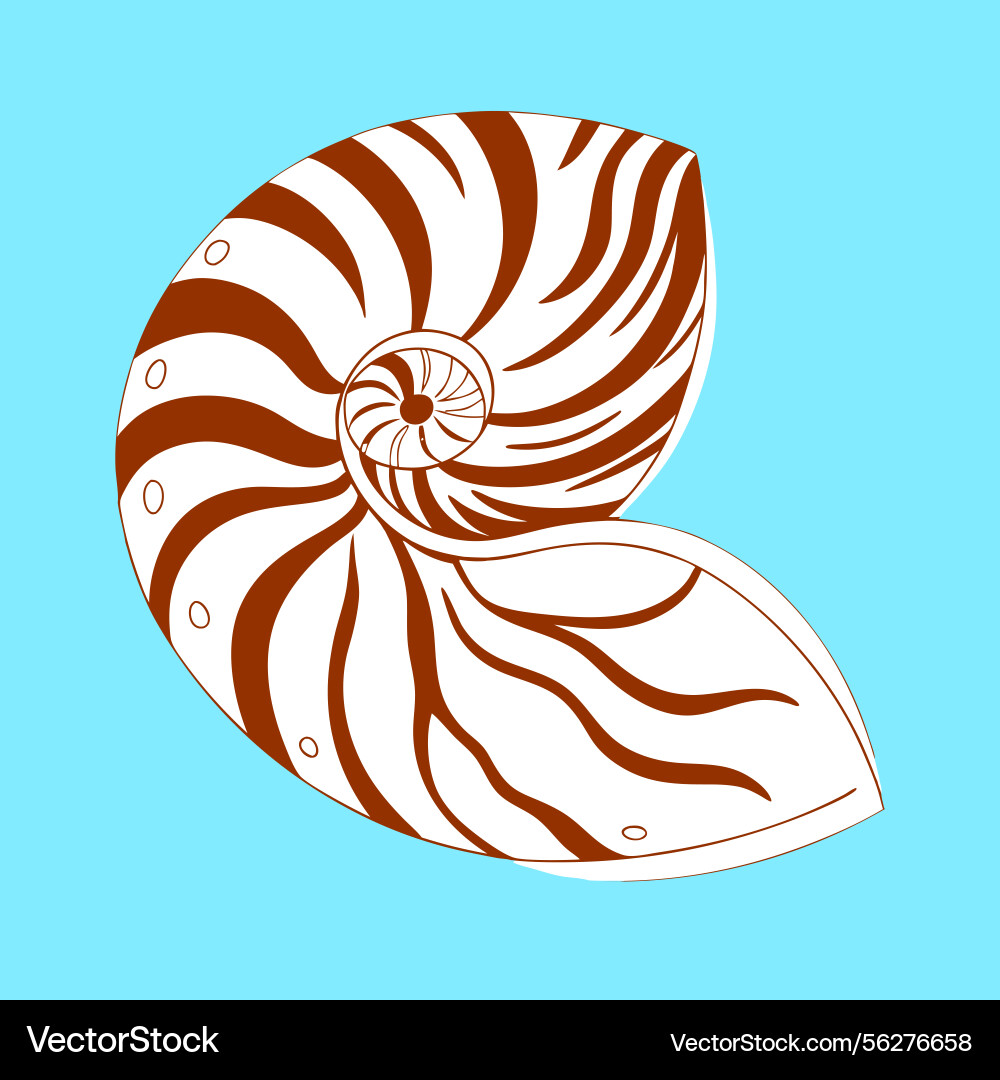A nautilus shell with spiraling editable Vector Image