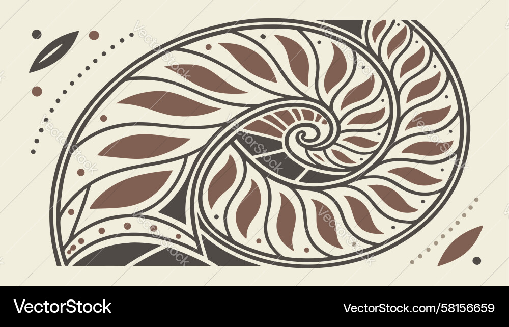 Nautilus Shell Cross-Section Vector Image