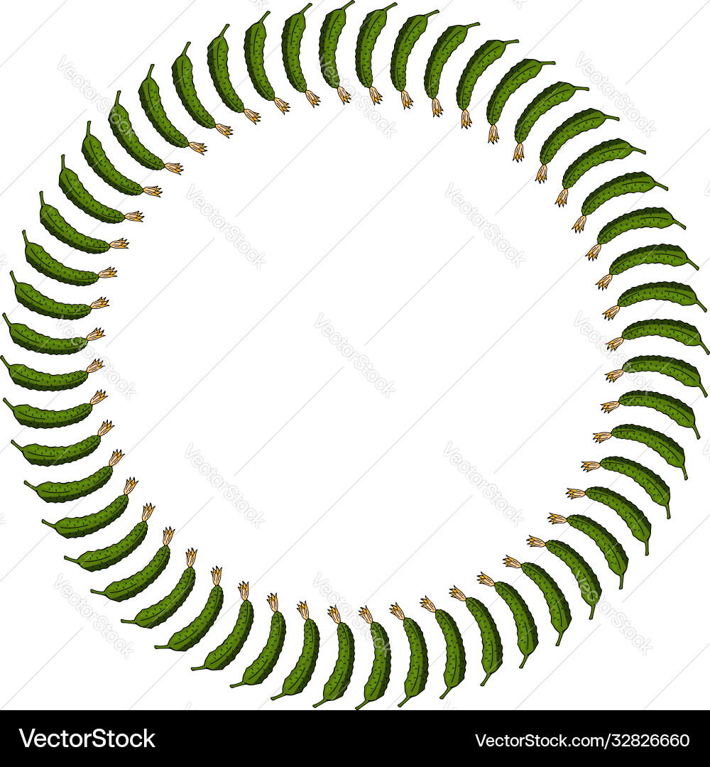 Round frame with vertical beautiful cucumber Vector Image