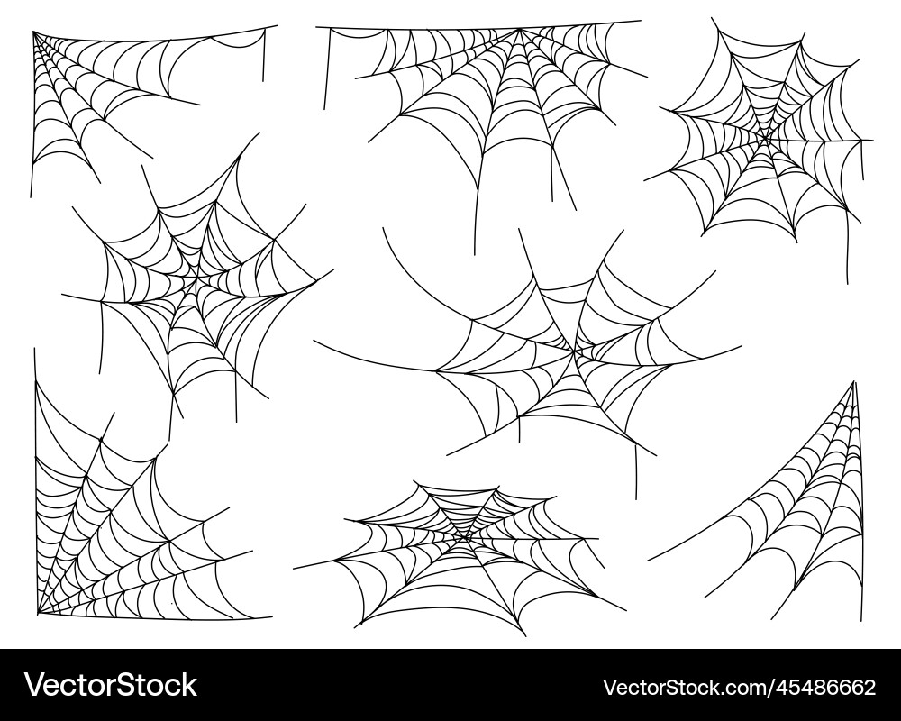 Halloween Spider Web Vector Image