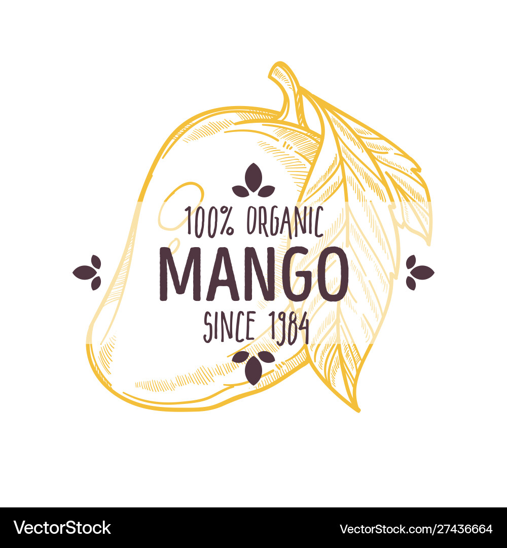 100 percent organic mango label with whole 100 percent organic mango label with whole vector image