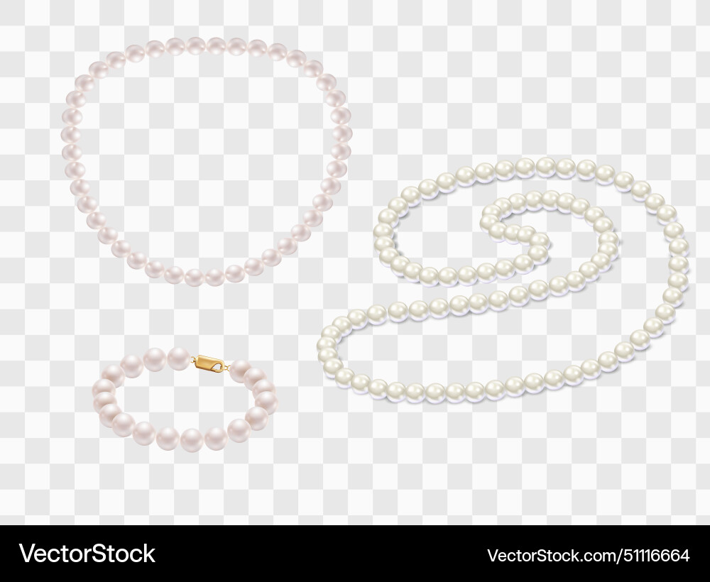 Pearl necklace or bracelet isolated precious Vector Image