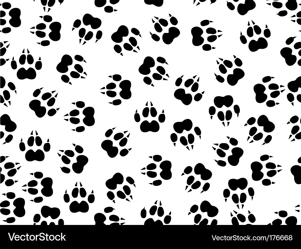 Footprint Pattern vector image