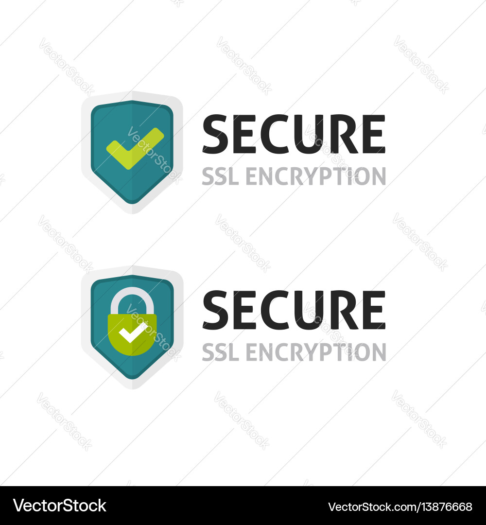 Secure SSL Certificate Shield vector image