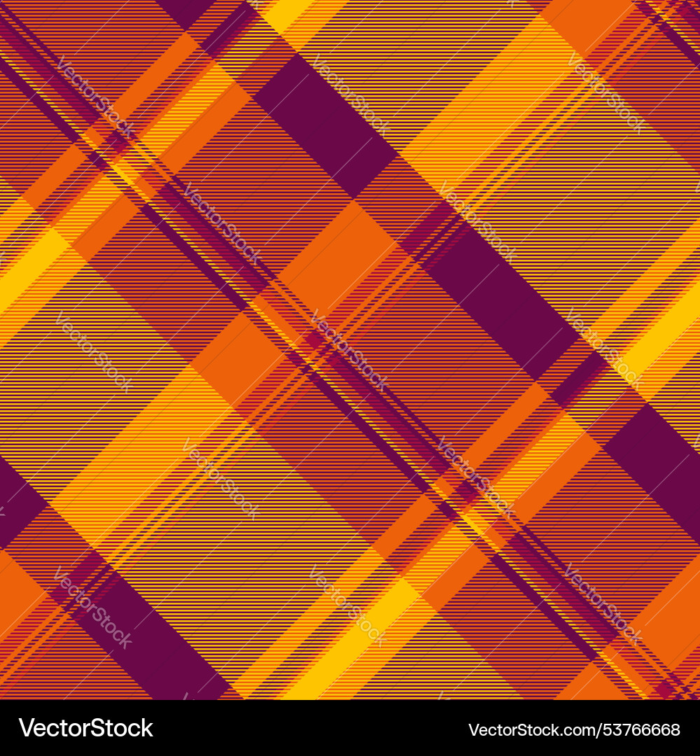 Spring background check pattern image fabric Vector Image