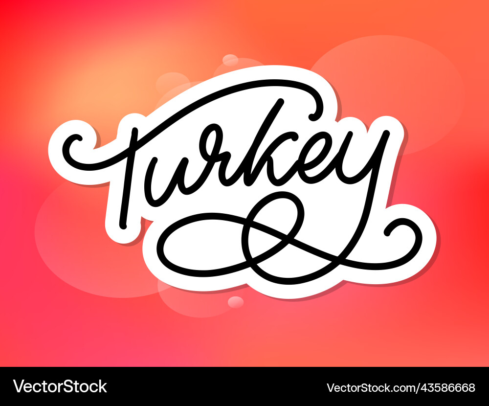 Turkey lettering handwritten name of the country vector image