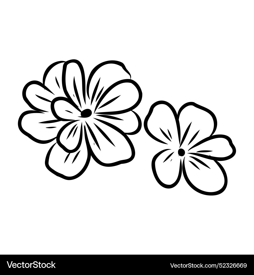 A flower sketch on white background A flower sketch on white background vector image