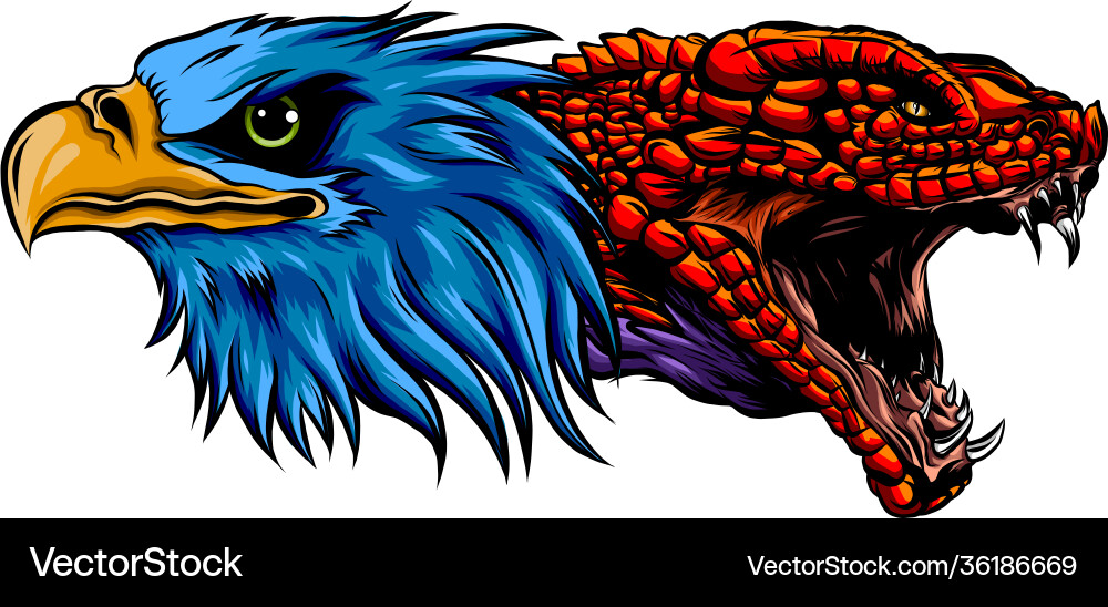 Bald eagle head can Royalty Free Vector Image - VectorStock