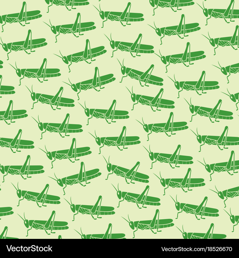 Background pattern with green grasshopper vector image