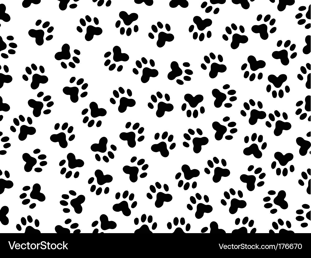 White Paw Prints on Foil vector image