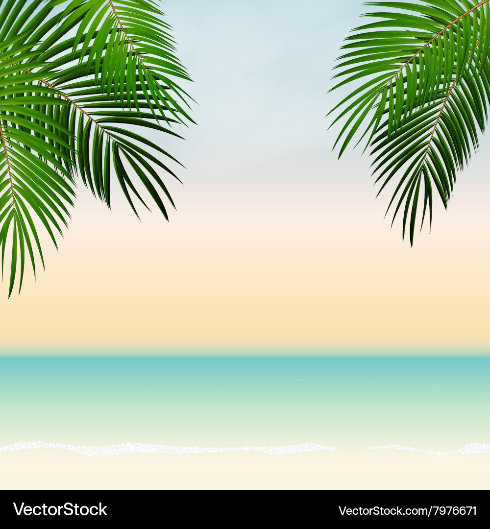 Tropical Palm Leaf Background – Royalty-Free Vector | VectorStock