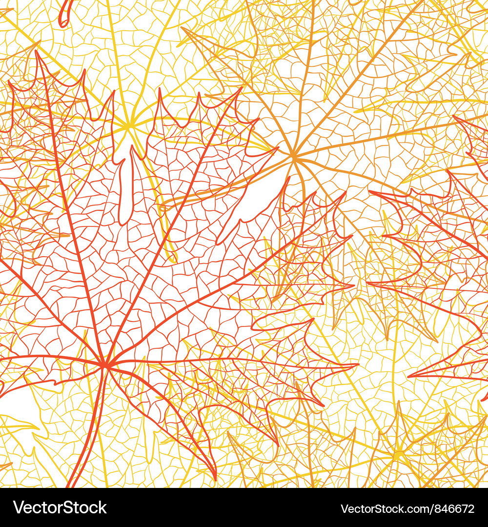 Maple Leaf Macro Background Vector Image
