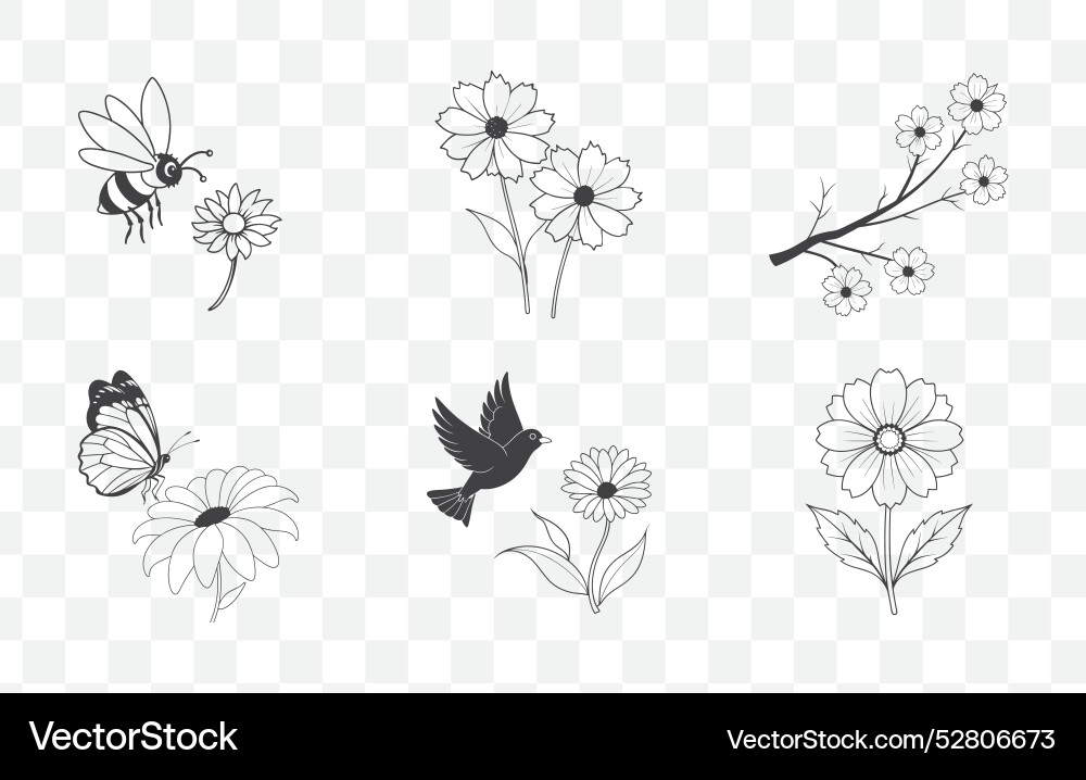 Print coreopsis flower line art set elegant Print coreopsis flower line art set elegant vector image