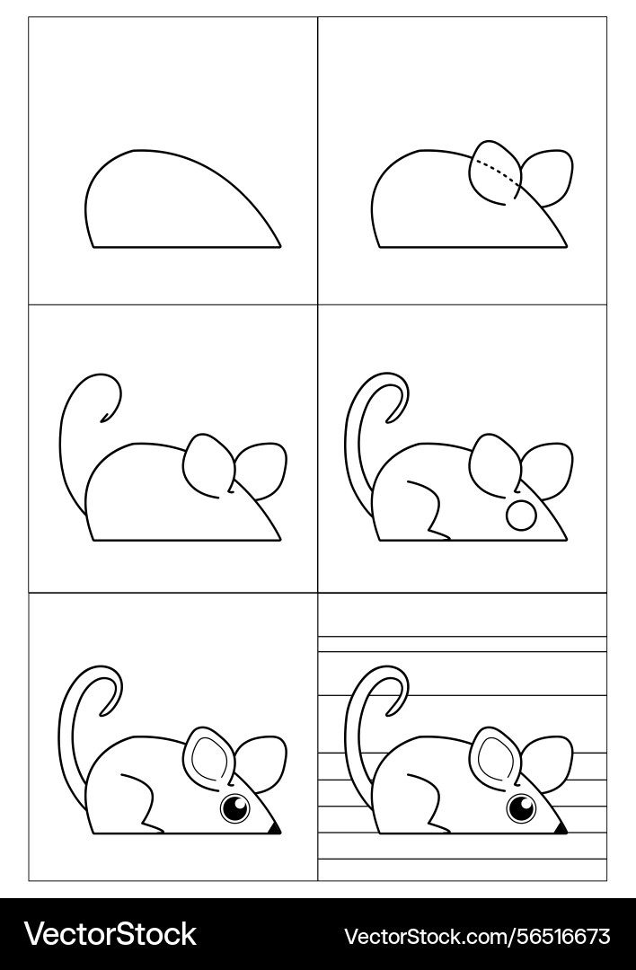 Step-by-step instructions how to draw a mouse Step-by-step instructions how to draw a mouse vector image
