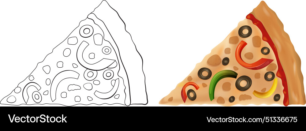 Pizza slices in color and outline Pizza slices in color and outline Vector Image