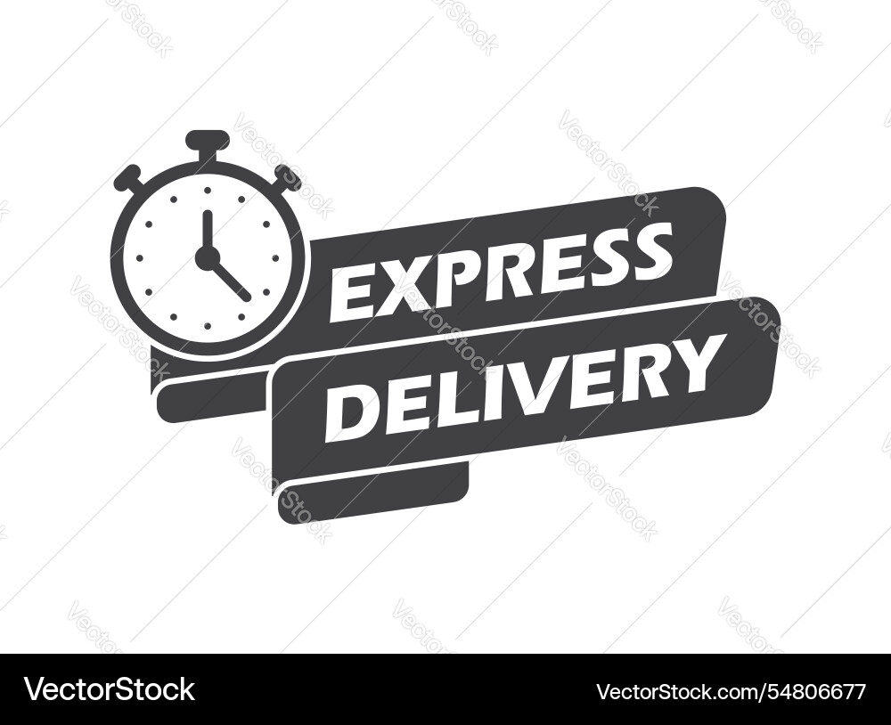 Express delivery icon in flat style fast shipping Express delivery icon in flat style fast shipping Vector Image