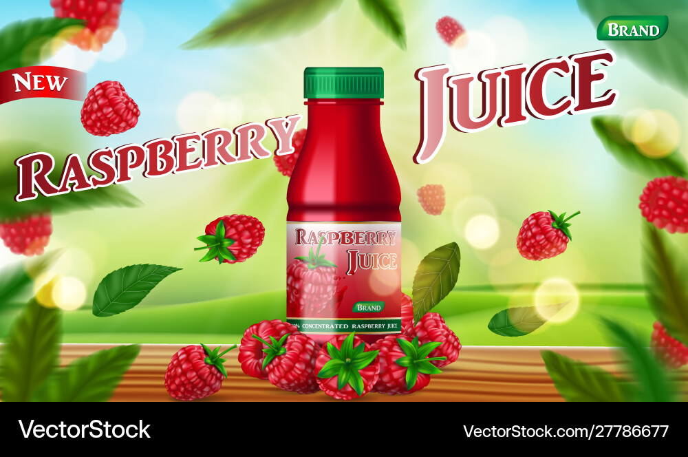 Raspberry juice bottle mock up with green vector image