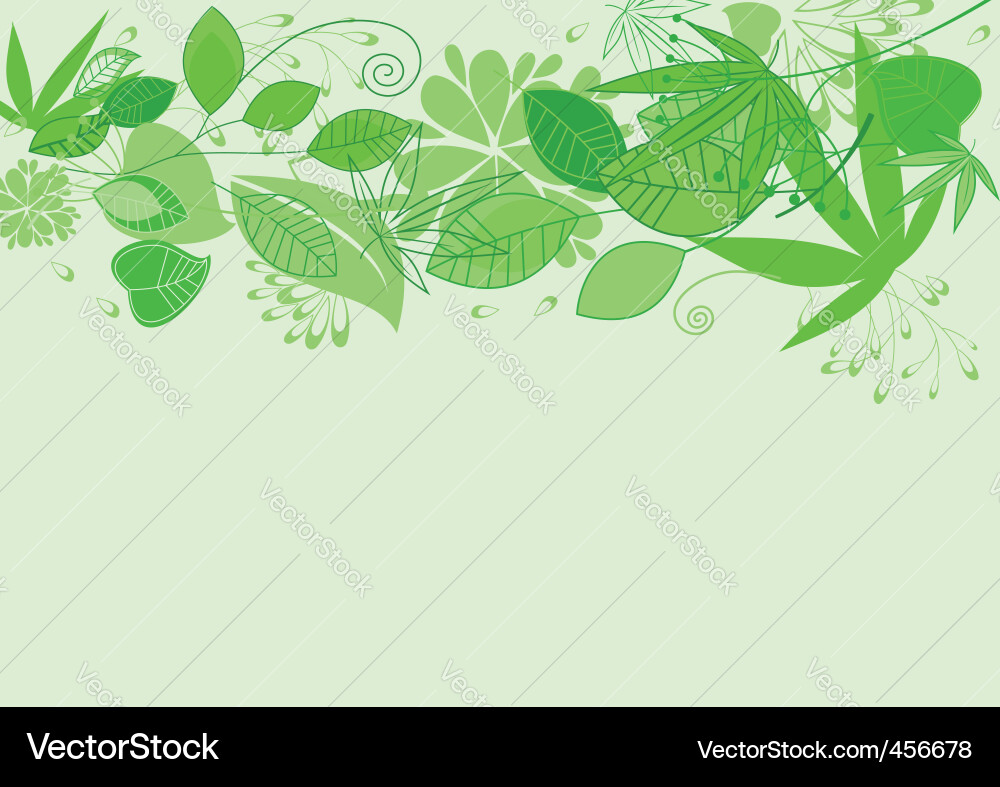 Floral Scroll Pattern vector image