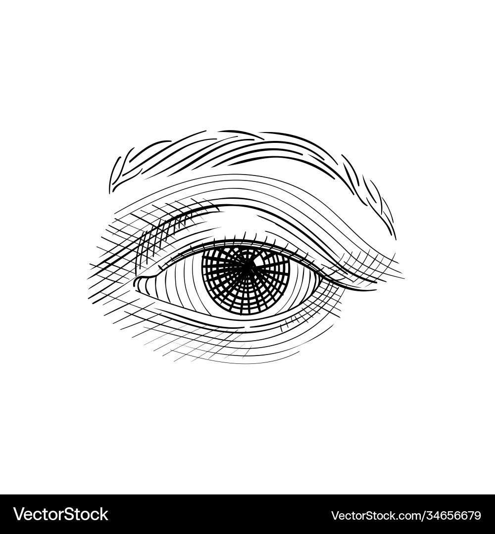Vintage engraved eye hand drawn sketch Vintage engraved eye hand drawn sketch vector image