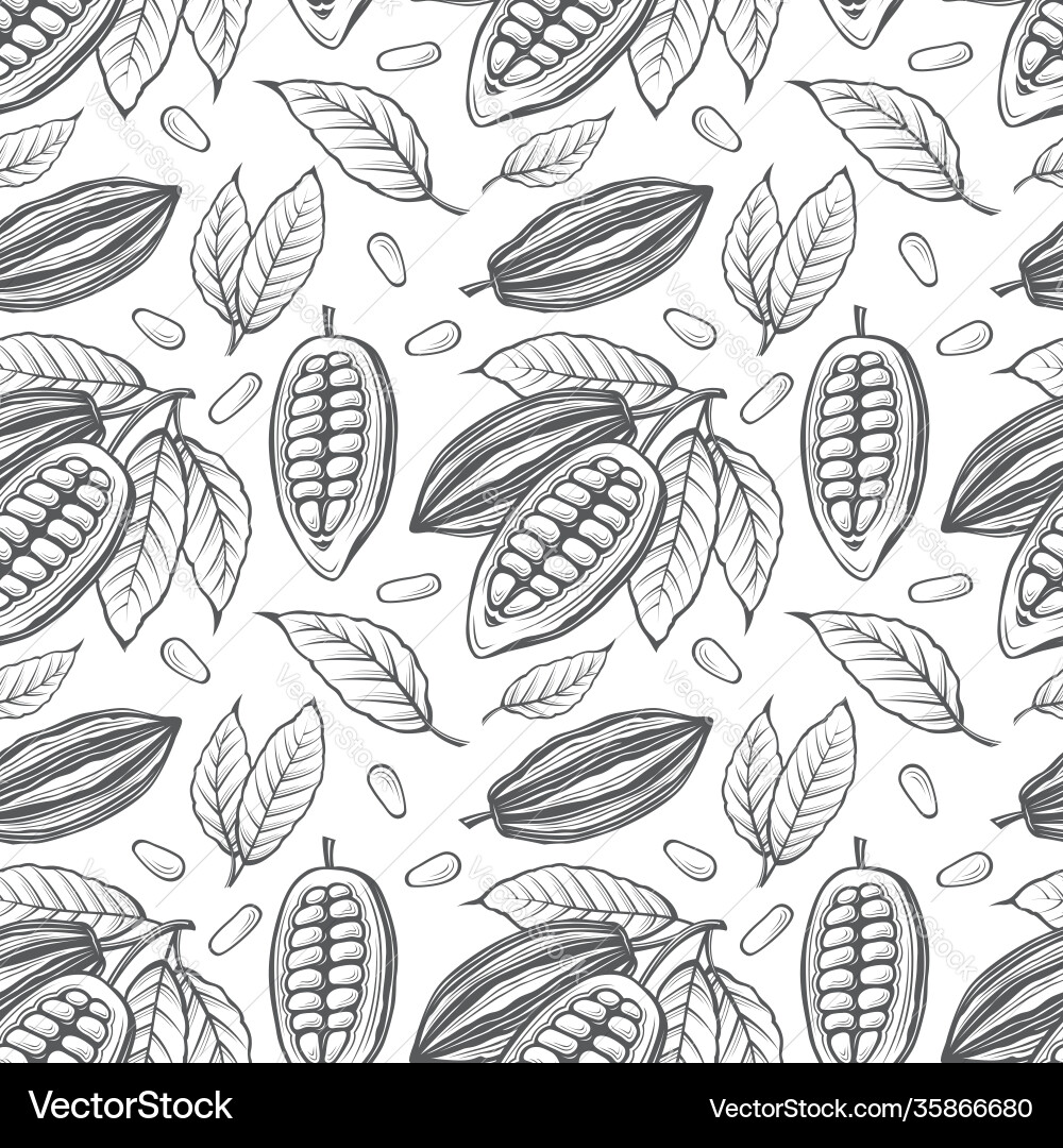 Cocoa Bean Pattern Vector Image