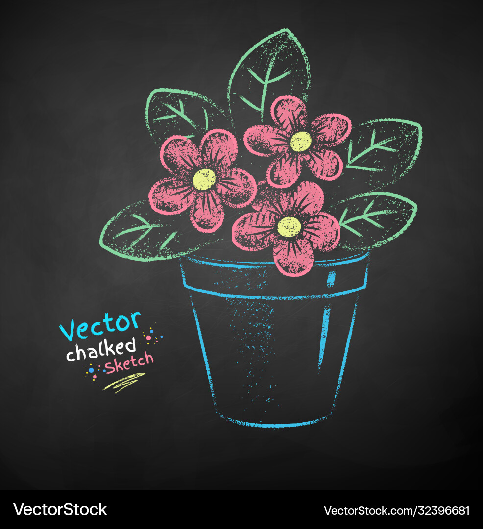 Chalk drawn flower in pot Vector Image